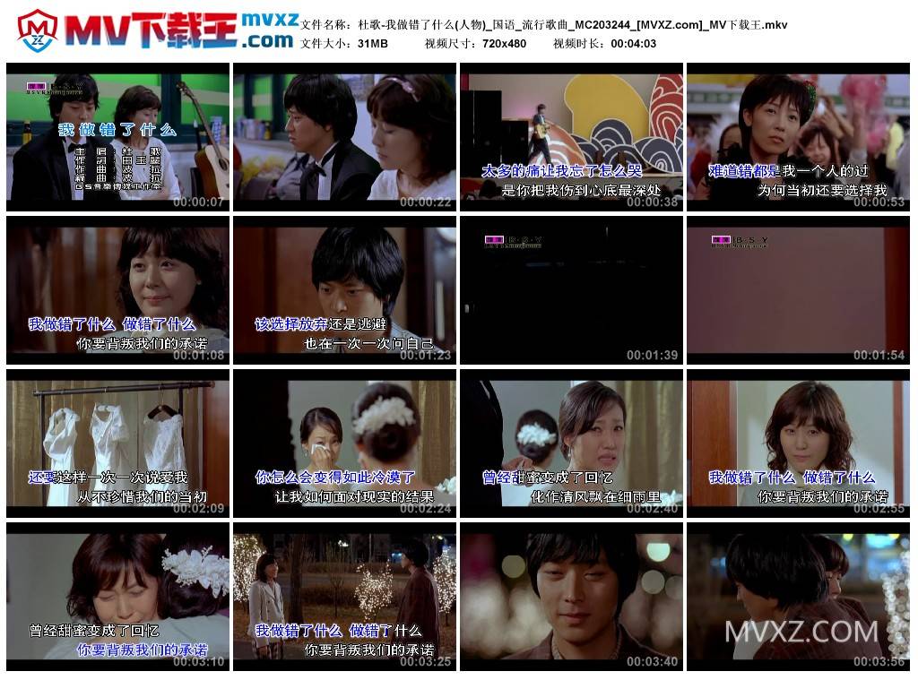 杜歌-我做错了什么(人物)_国语_流行歌曲_MC203244